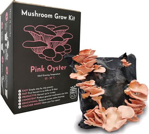 Urban Farm It Mushroom Growing Kit Xl Oyster Pink Pleurotus Djamor