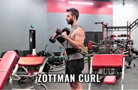 How To Do A Zottman Curl To Build Bicep Peak & Width In One Movement