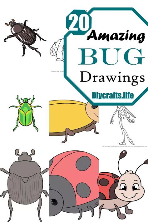 20 Amazing Bug Drawings With Step By Step Guide - DIY Crafts