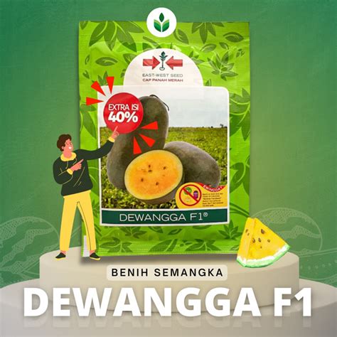 Jual Benih Bibit Semangka Jenis Inul Dewangga F Cap Panah Merah