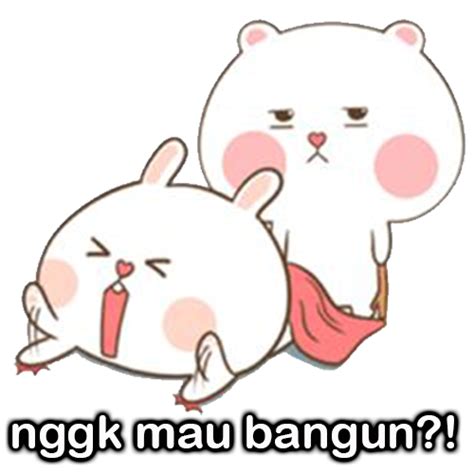 Stiker Wa Cute Love Memes Cute Love  Cute Bear Drawings