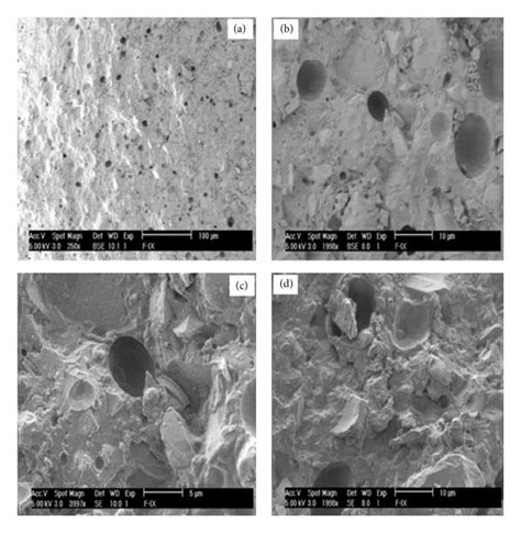 Cryo Sem Micrographs Of The Fractured Surface Of Gic At Various