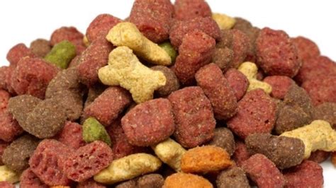 Las Mejores Marcas De Croquetas Para Perros Seg N La Profeco Luz