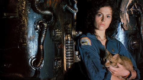 Save The Cat Our Favorite Furry Horror Movie Scene Stealers Have Come
