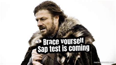 Brace Yourself Sap Test Is Coming Meme Generator