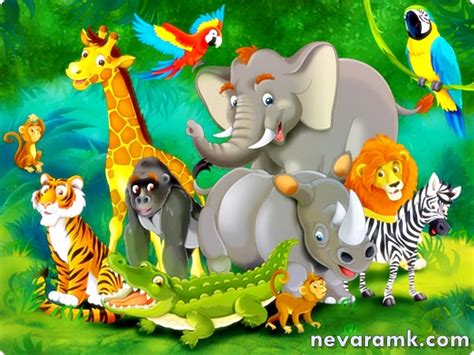 Jungle Theme Wallpaper For Kids Wallpapersafari