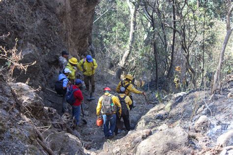 Lleva Por Ciento De Control El Incendio Forestal En El Cerro Del