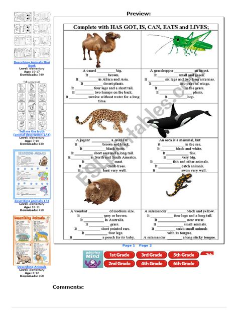 Describing Animals Esl Worksheet By Minka Pdf