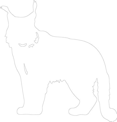 Lynx Outline Silhouette 38486449 Vector Art At Vecteezy