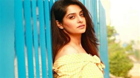 Bigg Boss 12 Winner Dipika Kakar Ibrahim Profile Full Bio Profile Of