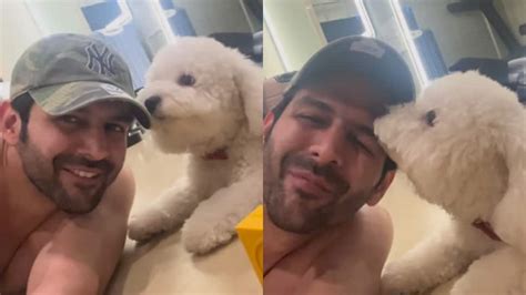 The Pawdorable Chemistry Between Kartik Aaryan And Katori Is The Best