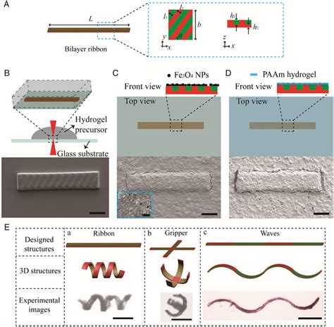 Design And Fabrication Of Microrobots With Magnetic Surface Coating