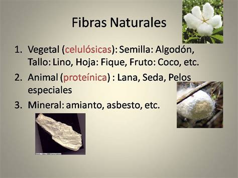 Fundamentos Textiles Clasificaci N De Las Fibras Textiles Naturales