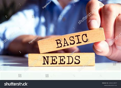 basic   food shelter health images stock  vectors