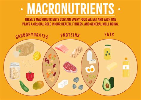 Macronutrients Definition Bruin Blog