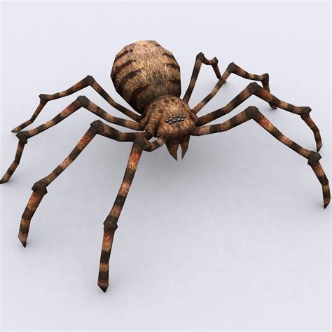 Spiders Pack 3d Model