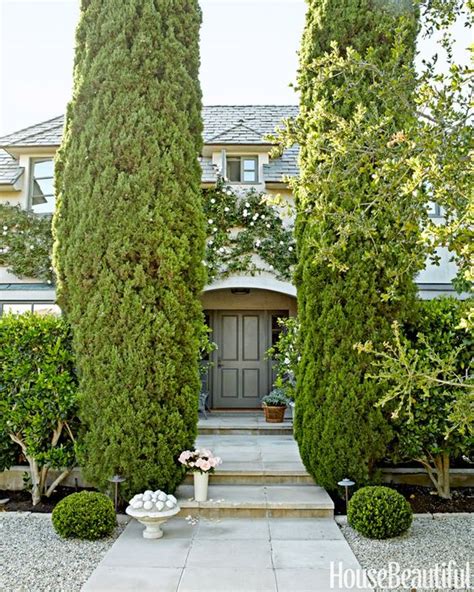 Planting a Live Fence: Why You Should Plant a Leyland Cypress Hedge ...