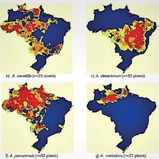 Potential distribution of Aniba species with 5 to 19 pixels. The colors ...