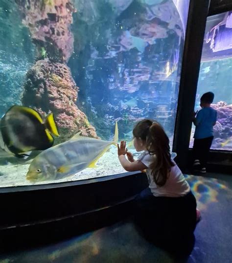 Gita All Acquario Di Genova Mamma E Figlia The Way Magazine