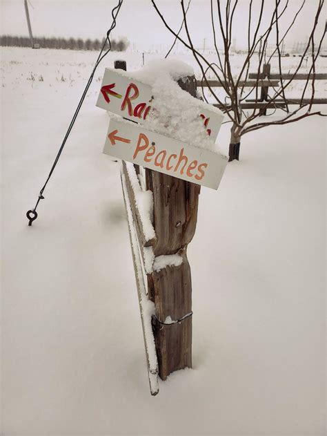 Snowy February Farm Tour - this beautiful farm life