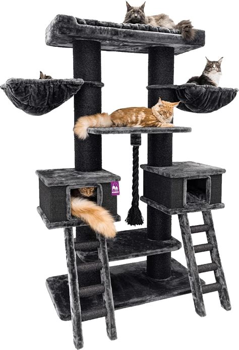 Petrebels Ragdoll Arbre Chat Robuste Pour Grands Chats Noir Cm De