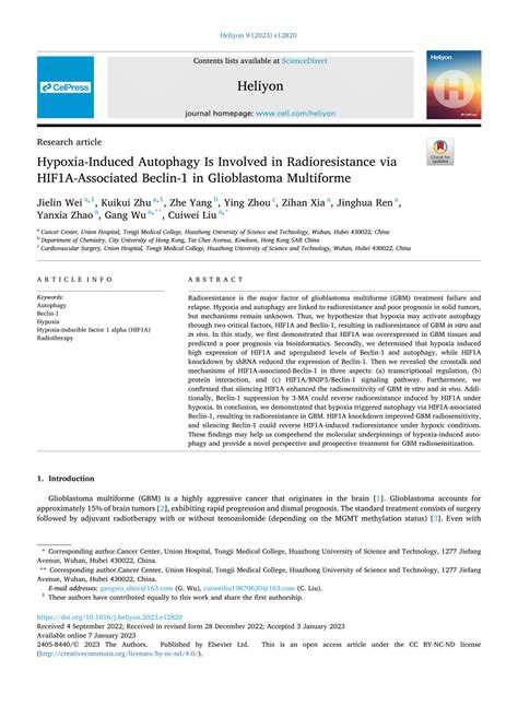 Pdf Hypoxia Induced Autophagy Is Involved In Radioresistance Via