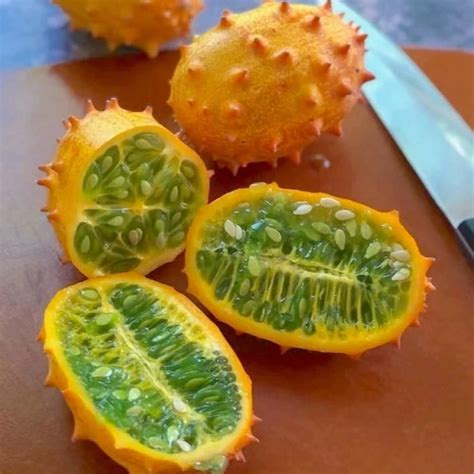 Kiwano Melon Fruit plant (Cucumis metuliferus) – veliyathgardens