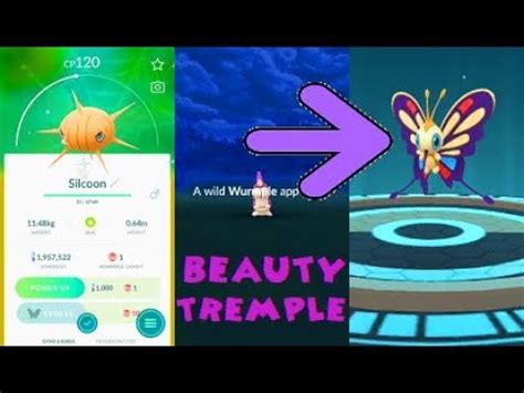 Pokemon Go Shiny Wurmple Catch Silcoon Beautifly Evolutions YouTube