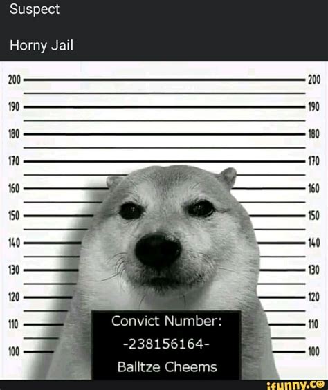 Suspect Horny Jail Convict Number 238156164 Balltze Cheems IFunny