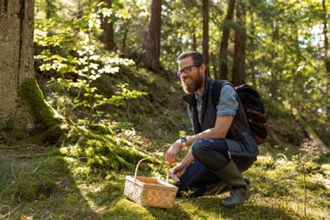 How to start mushroom hunting? | HUNTING CASE