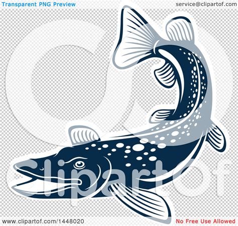 Clipart of a Navy Blue Pike Fish, with a White Outline - Royalty Free ...