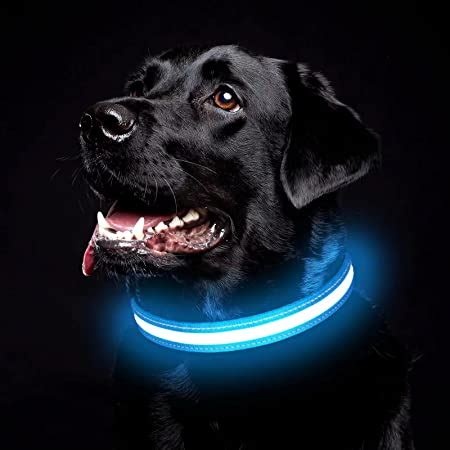 Visinite Leuchthalsband Hund Wasserdicht Verstellbare USB Aufladbar LED