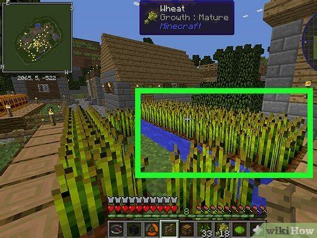 How To Grow Wheat In Minecraft 9 Steps With Pictures WikiHow