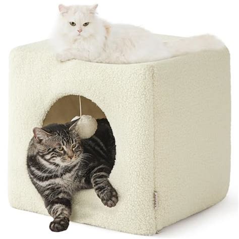 Uncover The Perfect Cat Bed Size For Your Feline Companion A Complete