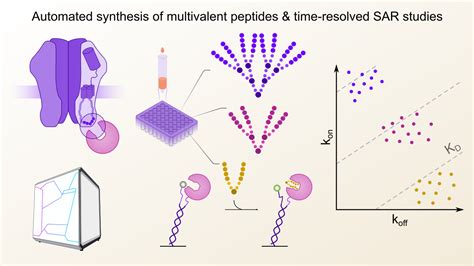 Dos Donts For Capturing Multivalent Peptide Interactions In Real