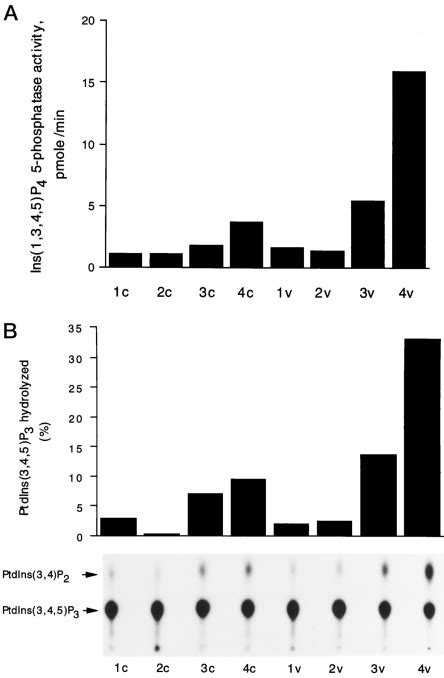 The Inositol Phosphatase Ship Binds To Immunoreceptor Signaling