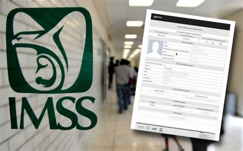 IMSS Cómo solicitar la Constancia de Vgencia de Derechos