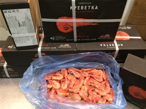 Свежие креветки Северные 90+ и 120+ в Москве — ServerFish