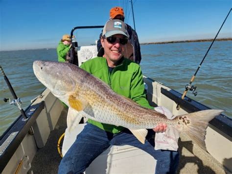 Galveston Fish Species Common Types Of Fish In Galveston To Catch