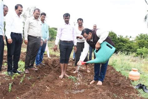 Mango Tree Plantation June Rajarshee Chhatrapati Shahu