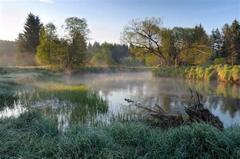 Přírodní památka Vltavský luh / Mrtvý luh | Šumava - Galerie: Vltavský luh