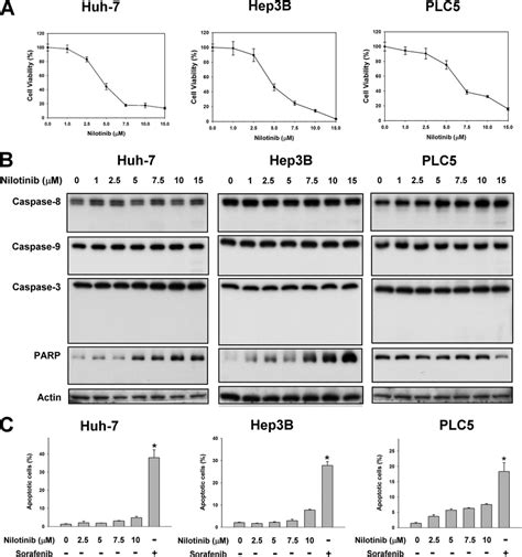 Nilotinib Reduced Cell Viability In Hcc But Did Not Induce Apoptosis