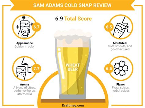 Sam Adams Cold Snap Review: All You Need To Know About This Beer