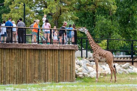 What's new at the zoo: Potawatomi Zoo opens for the season on March 31