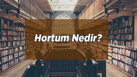 Hortum Nedir Hortum Nasıl Ve Neden Oluşur En Son Haberler Milliyet