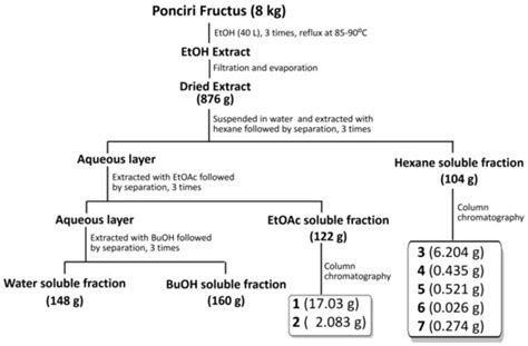 Molecules Free Full Text Anti Obesity Potential Of Ponciri Fructus