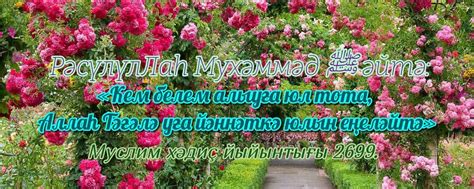 Аллаһ Дине Ислам | ⚜️Был төркөмдә Раббыбыҙ АЛЛАҺ хаҡында н.. 2025 ...