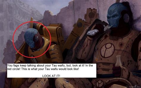 ﻿you Fags Keep Talking About Your Tau Waifu But Look At It In The Red Circle This Is What