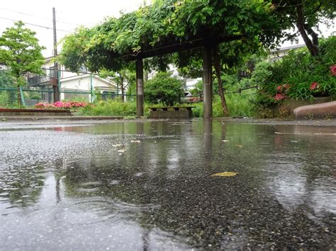 Photowalkers Labo 雨の日には雨の日の写真