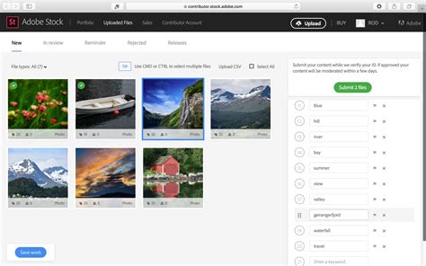 Adobe Stock review - Life after Photoshop 